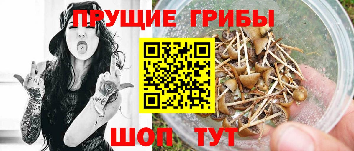 Галлюциногенные грибы MAGIC MUSHROOMS Усть-Джегута