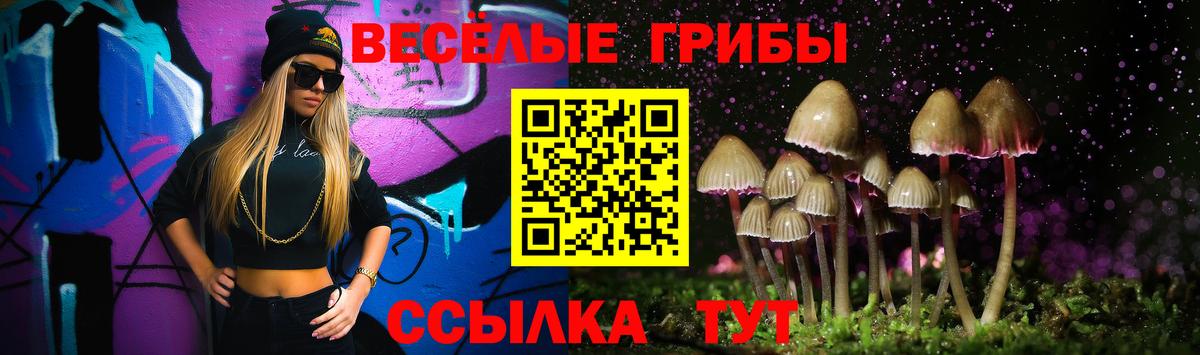 Псилоцибиновые грибы ЛСД  Вход с VPN  Усть-Джегута 
